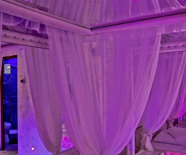 Anadi Boutique Only Adult 2*